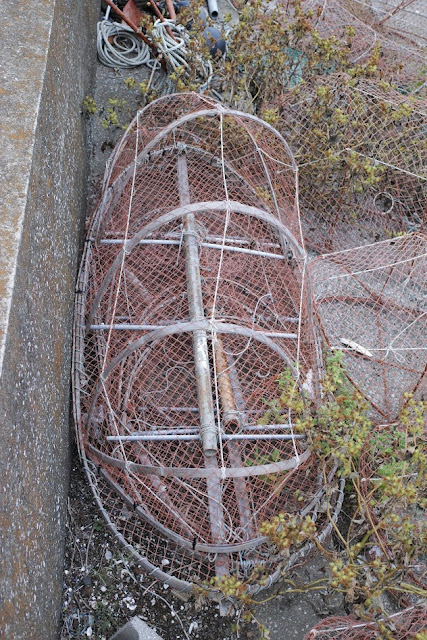 イカ籠（イカドウ）の形　　Ikado Fishing Device for Squid Fishing